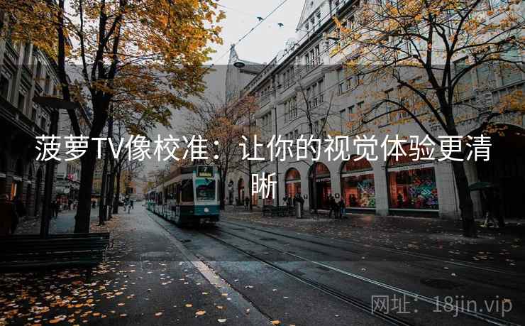 菠萝TV像校准：让你的视觉体验更清晰  第2张