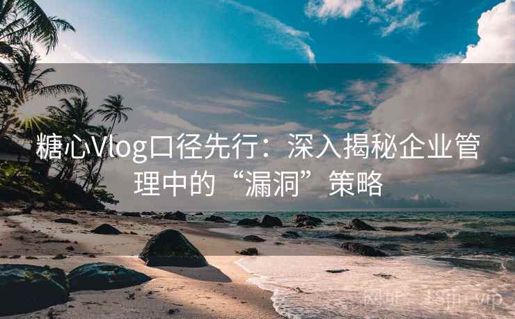 糖心Vlog口径先行:深入揭秘企业管理中的“漏洞”策略