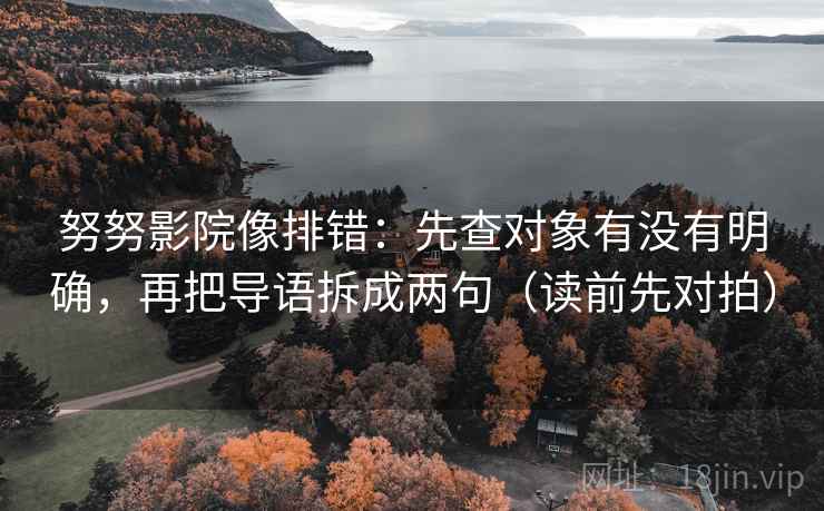 努努影院像排错：先查对象有没有明确，再把导语拆成两句（读前先对拍）  第2张