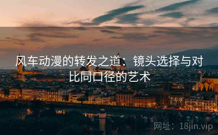 风车动漫的转发之道:镜头选择与对比同口径的艺术