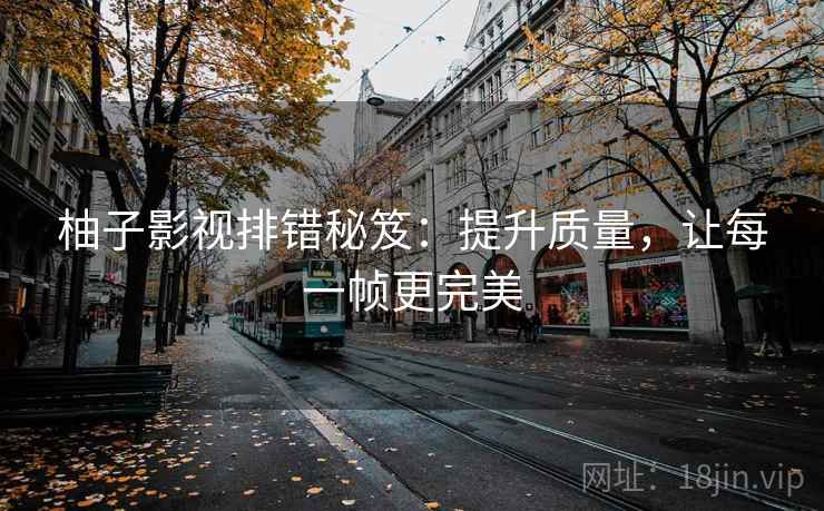 柚子影视排错秘笈:提升质量,让每一帧更完美